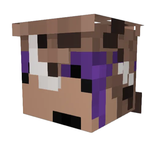 electricpylot77 Minecraft avatar head, 3D render