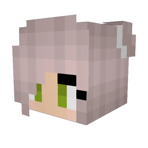 electrix27 Minecraft avatar head, 3D render