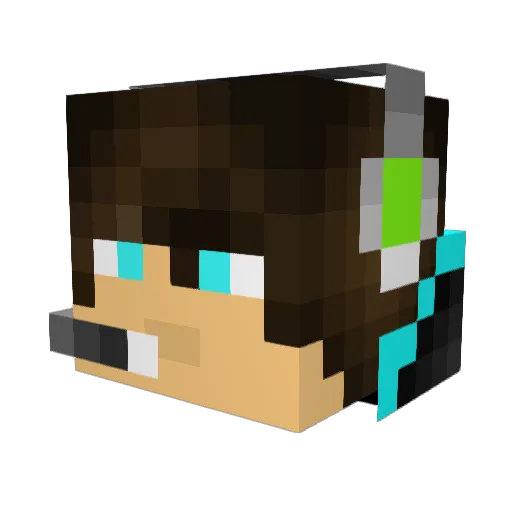electrogamer506 Minecraft avatar head, 3D render