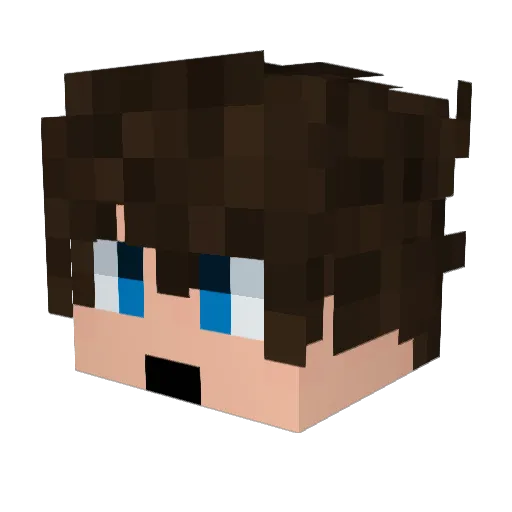 electroman1337 Minecraft avatar head, 3D render
