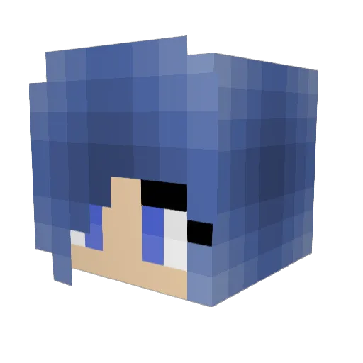 elefantbonez Minecraft avatar head, 3D render