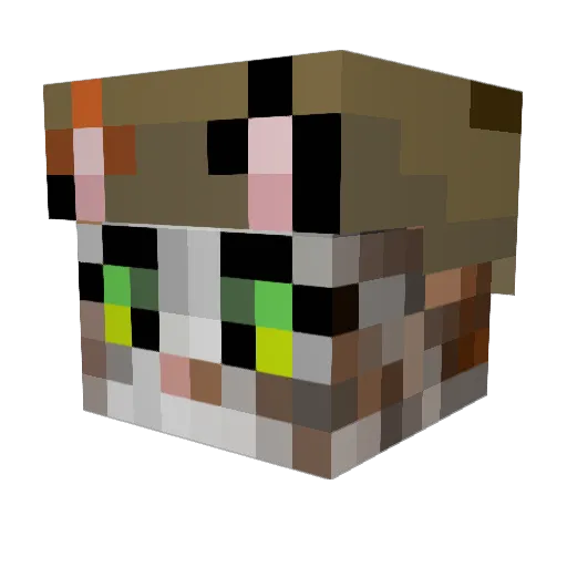 eleih Minecraft avatar head, 3D render