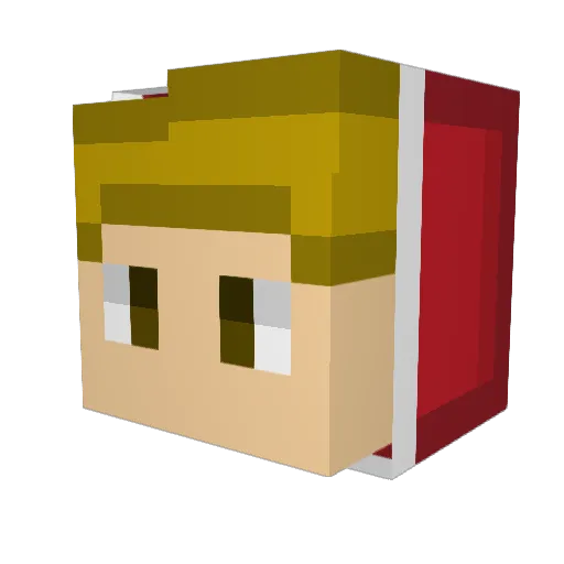 elektron247 Minecraft avatar head, 3D render