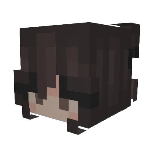 elelisthecoolest Minecraft avatar head, 3D render