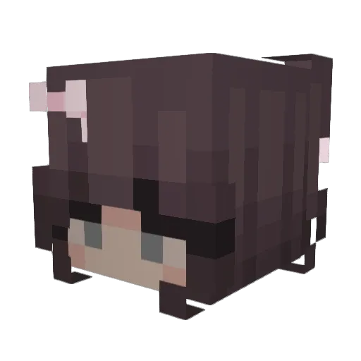 elena13_ Minecraft avatar head, 3D render