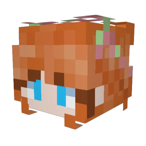elenmelon18 Minecraft avatar head, 3D render