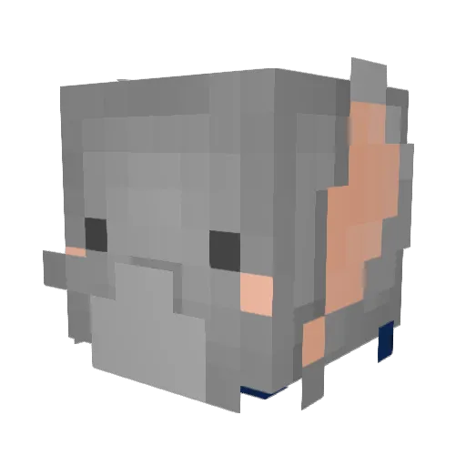 elephantofdoom Minecraft avatar head, 3D render