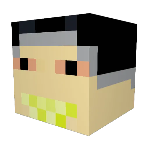 elephantwizard Minecraft avatar head, 3D render