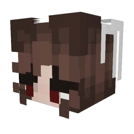 elerine11 Minecraft avatar head, 3D render