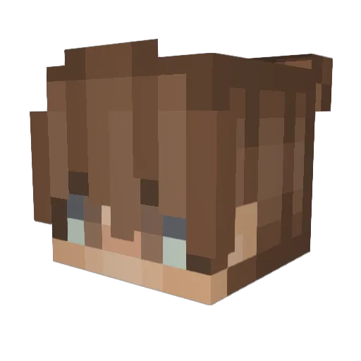 eletrode Minecraft avatar head, 3D render