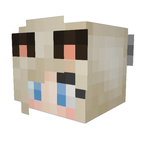 eleven__ Minecraft avatar head, 3D render