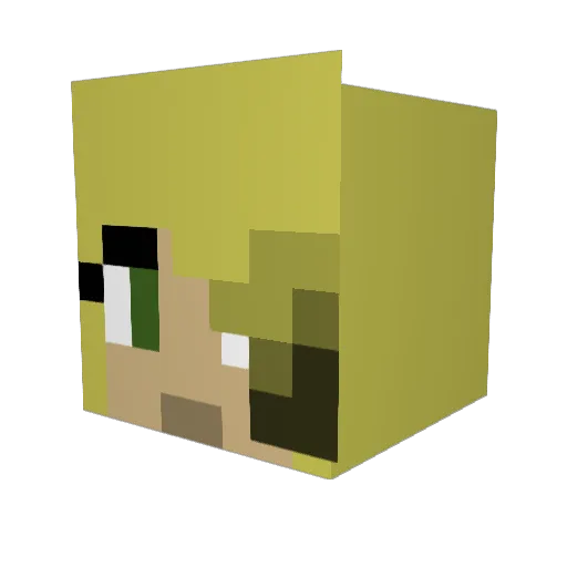 eleverad Minecraft avatar head, 3D render