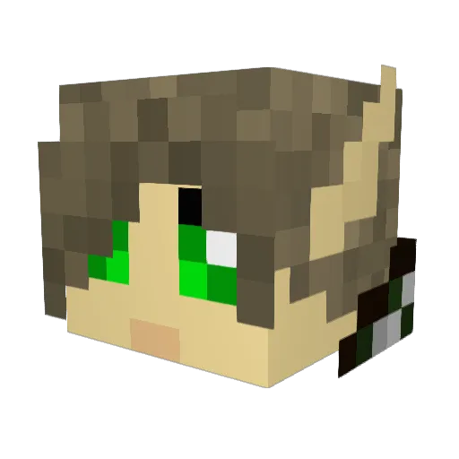 elf2008 Minecraft avatar head, 3D render