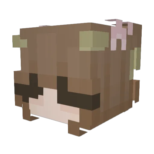 elfay Minecraft avatar head, 3D render