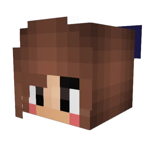 elfgirl123 Minecraft avatar head, 3D render