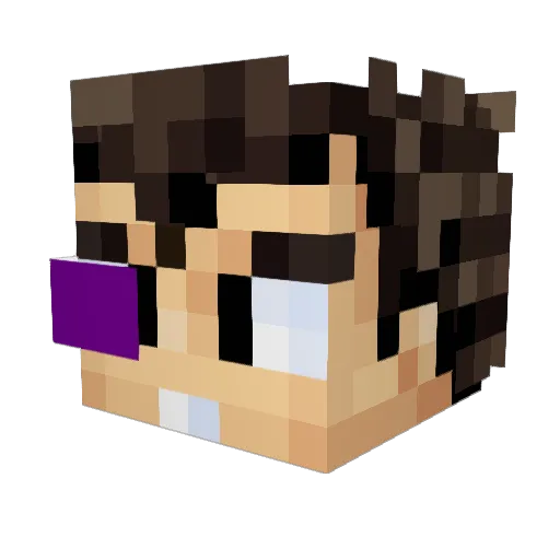 elfollatilines Minecraft avatar head, 3D render