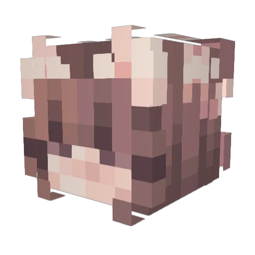 elfurbocambioTS Minecraft avatar head, 3D render