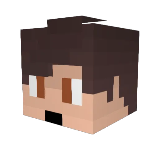 elgallo9775 Minecraft avatar head, 3D render