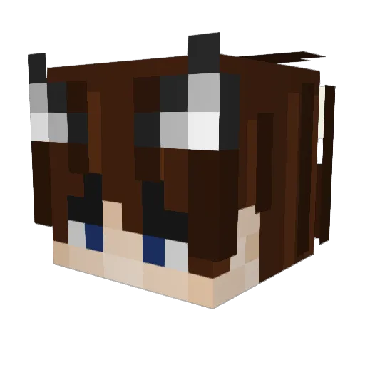 eli238 Minecraft avatar head, 3D render