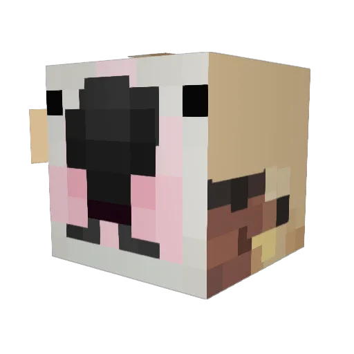 eli_jim Minecraft avatar head, 3D render