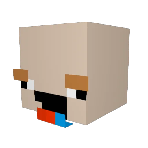 eli_qdx Minecraft avatar head, 3D render