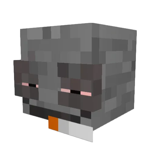 eliacatontop Minecraft avatar head, 3D render