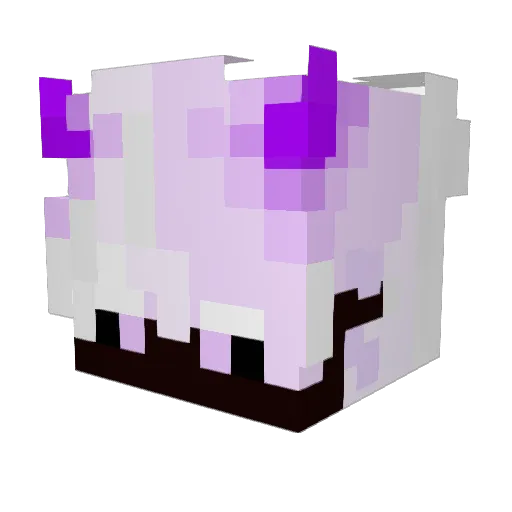 eliam0614 Minecraft avatar head, 3D render