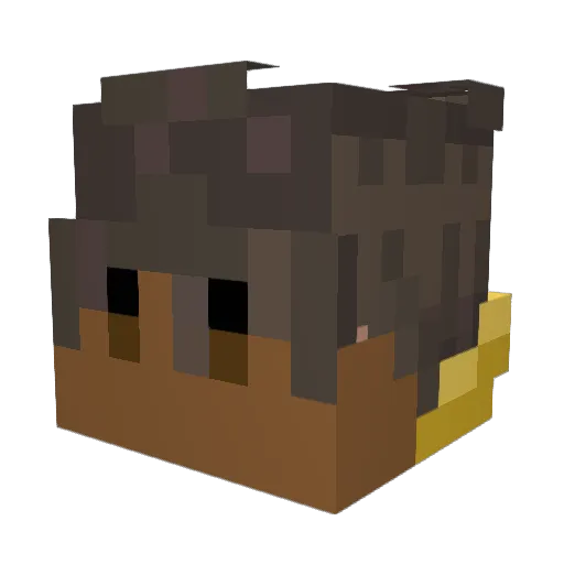 elicool77 Minecraft avatar head, 3D render