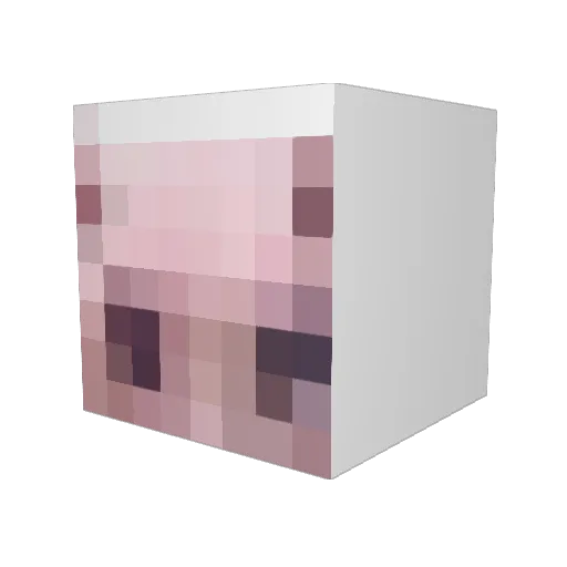 elie_bingus Minecraft avatar head, 3D render