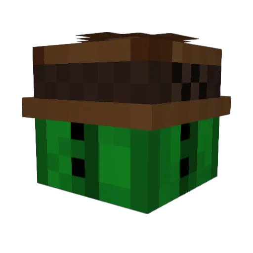 elielmiller Minecraft avatar head, 3D render