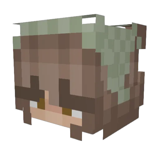 eliethyiia Minecraft avatar head, 3D render