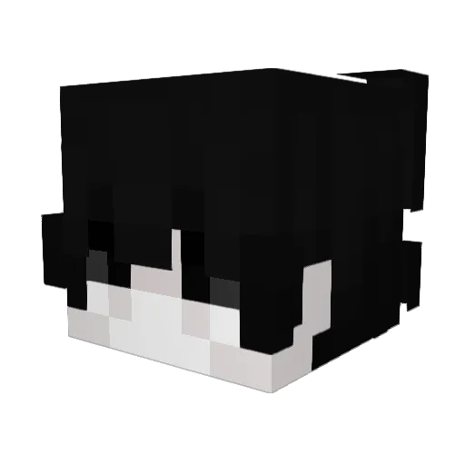 eliitra Minecraft avatar head, 3D render