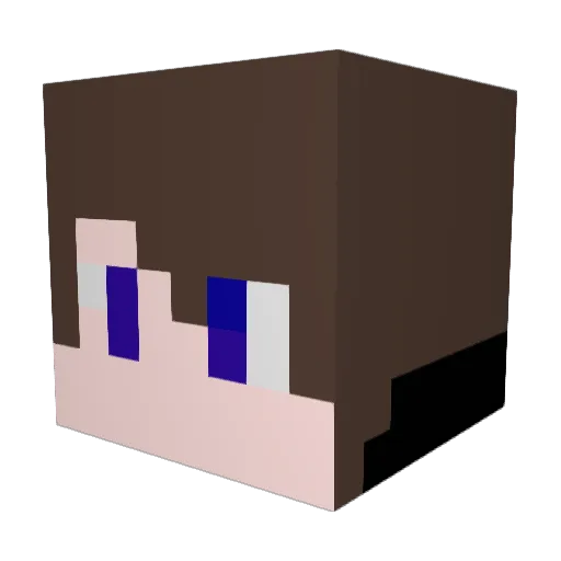 elijah5596 Minecraft avatar head, 3D render