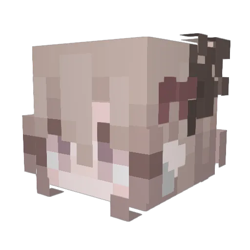 eliliiii Minecraft avatar head, 3D render