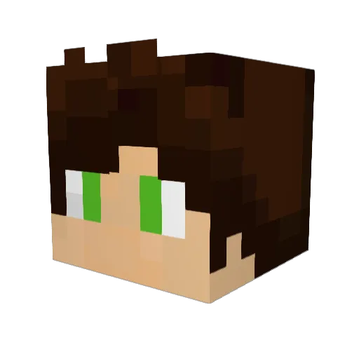 elimmon112 Minecraft avatar head, 3D render