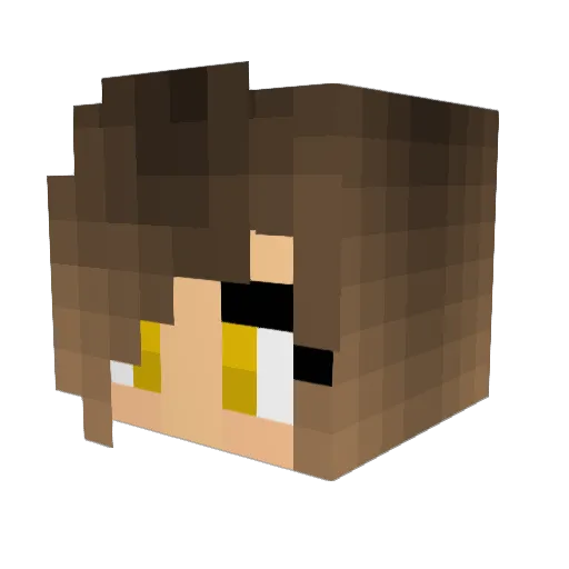 elipanda07 Minecraft avatar head, 3D render