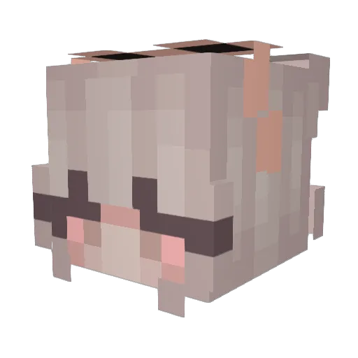 elisa000 Minecraft avatar head, 3D render