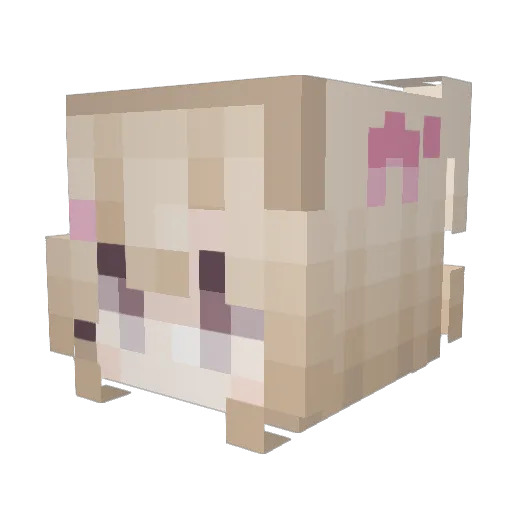 elisaAxx Minecraft avatar head, 3D render
