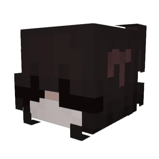 elisasucks Minecraft avatar head, 3D render