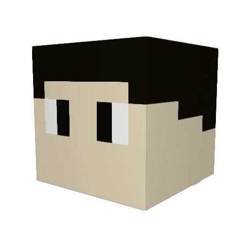 elisaurus014 Minecraft avatar head, 3D render