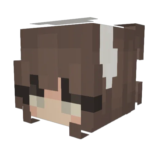 elisenocte Minecraft avatar head, 3D render