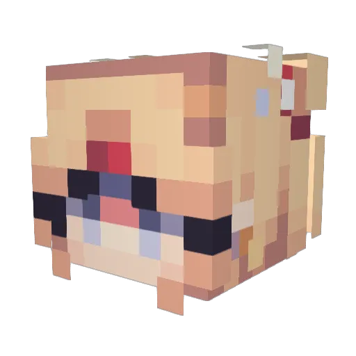 eliserrs Minecraft avatar head, 3D render