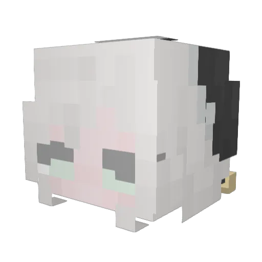 eliseval Minecraft avatar head, 3D render