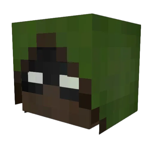 elishani Minecraft avatar head, 3D render
