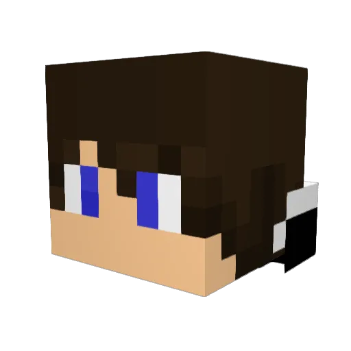 elite_gaming06 Minecraft avatar head, 3D render