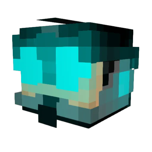 elitesword8 Minecraft avatar head, 3D render