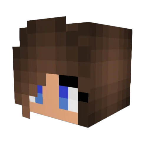 elizaster1 Minecraft avatar head, 3D render