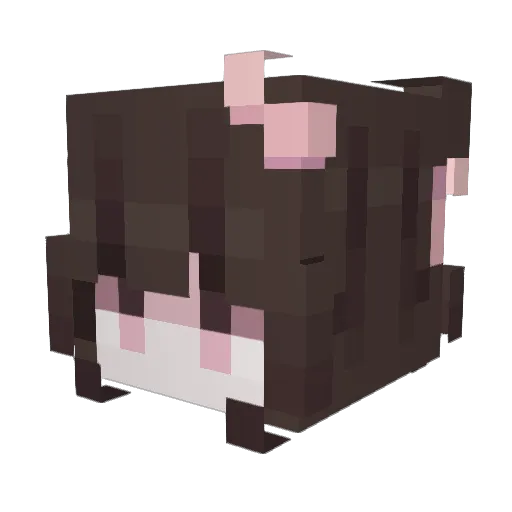 elizec Minecraft avatar head, 3D render