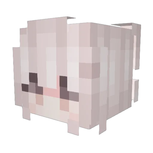 elizierg Minecraft avatar head, 3D render