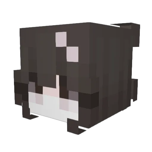 elizkaxo Minecraft avatar head, 3D render